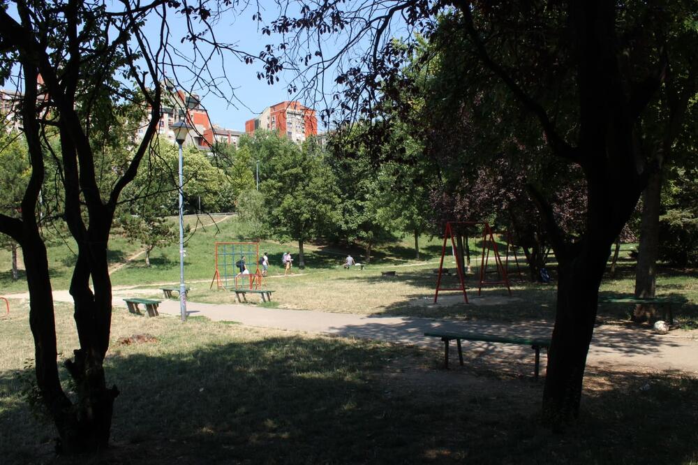 NOVOSAĐANIN TRAŽI SVOG NEOBIČNOG LJUBIMCA: Ima zvonca na nogicama i zove se Hari, DA LI STE GA VIDELI? (FOTO)