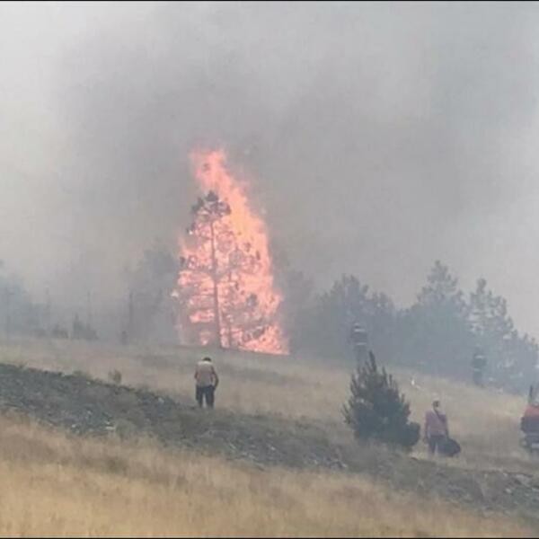 GORI I U CRNOJ GORI! Ceo region se bori sa požarima, vatra se približava kućama, LJUDI UGROŽENI