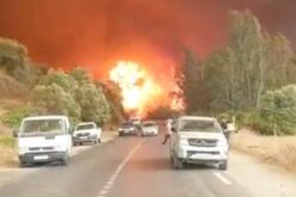 BUKTE POŽARI U ALŽIRU: Broj ŽRTAVA raste, najmanje 25 vojnika poginulo (FOTO, VIDEO)