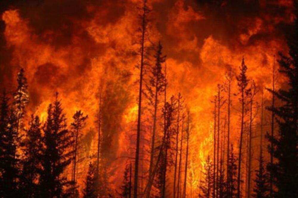 CRNI DAN U ITALIJI: Nove ŽRTVE strahovitih požara, Kalabrija proglašava vanredno stanje?!