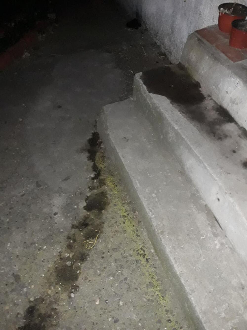 Vračar, Stojana Protića