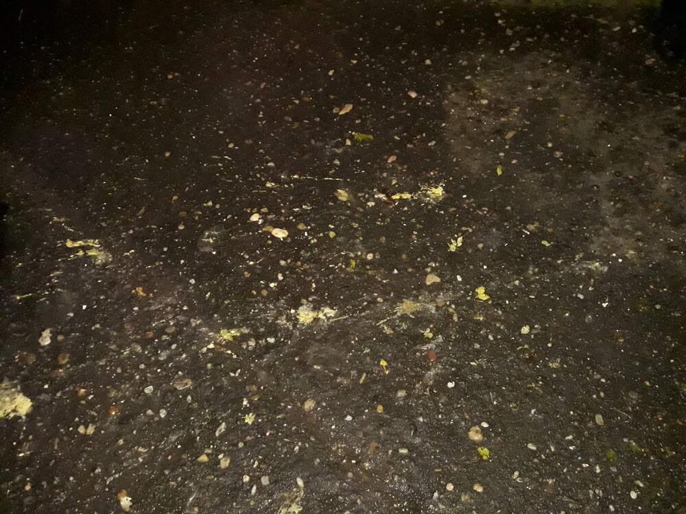 Vračar, Stojana Protića