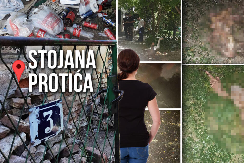 KLALI ŽIVOTINJE, PROSIPALI KISELINU I JAJA, PRETILI: Stanari sa Vračara su u VELIKIM MUKAMA zbog INVESTITORA VIDEO