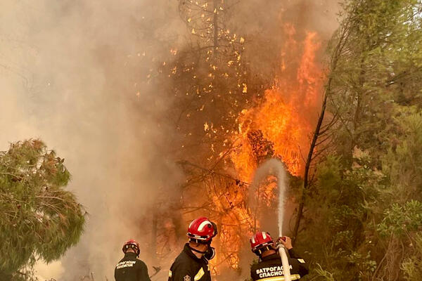 33% EVIJE UNIŠTILI POŽARI: Grčko ostrvo dugo će se OPORAVLJATI