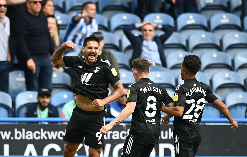 Aleksandar Mitrović