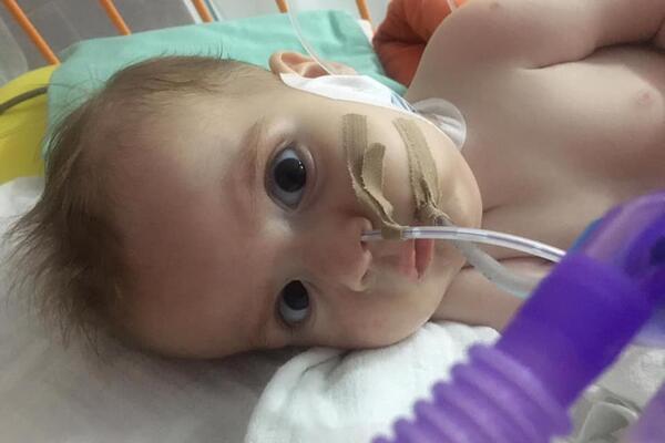 ČEKA SE DATUM KADA ĆE BOŠKO DOBITI NAJSKUPLJI LEK NA SVETU: Mališan kreće u najveću borbu u životu