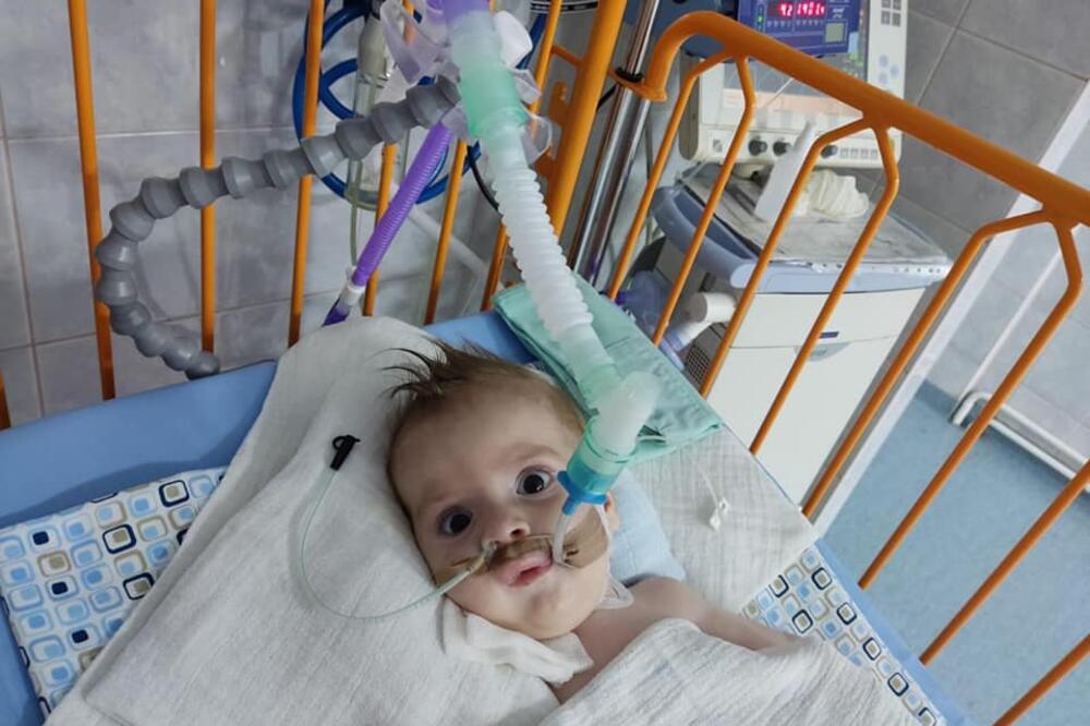 NJEGOVO STANJE JE NEPROMENJENO, NALAZI SE NA RESPIRATORU: Mali Boško stigao u Budimpeštu na lečenje!