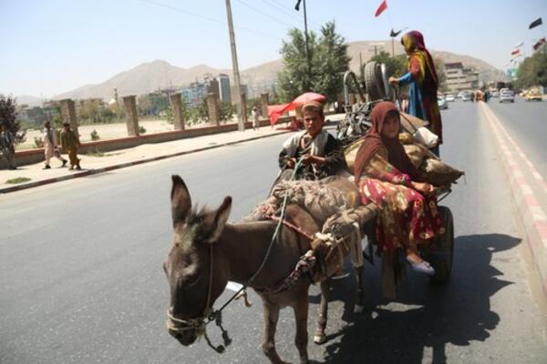 TURSKA GRADI ZID: Strahuju od novog priliva IZBEGLICA iz AVGANISTANA! (VIDEO)