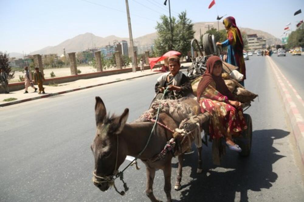 TURSKA GRADI ZID: Strahuju od novog priliva IZBEGLICA iz AVGANISTANA! (VIDEO)