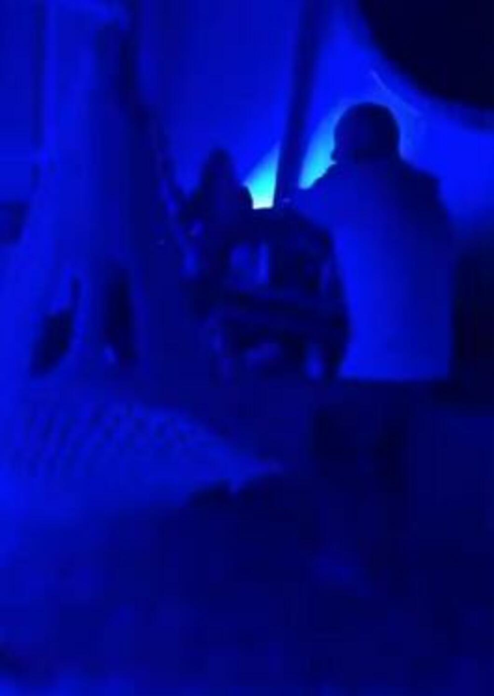 Radiša Trajković Đani