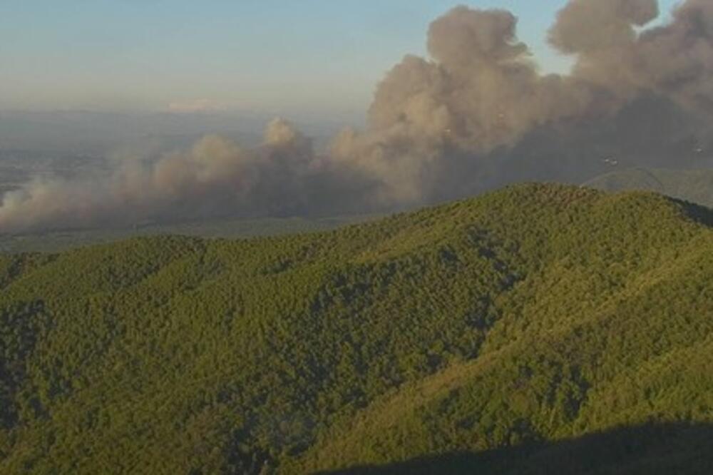VATRENA STIHIJA NA JUGU FRANCUSKE: Požar u regionu VAR, gasi ga više stotina vatrogasaca! (FOTO) (VIDEO)