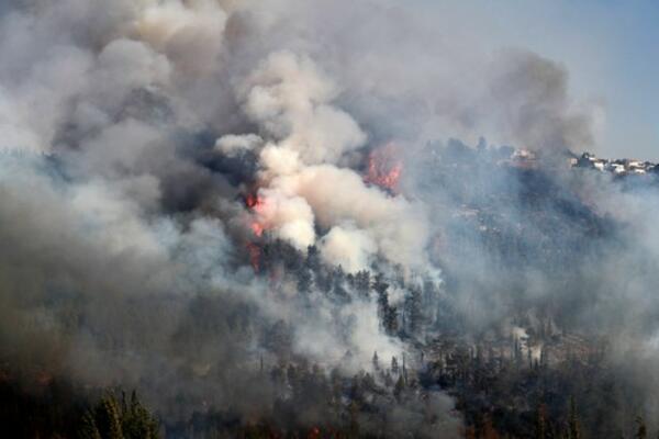 Vatrogasci u Izraelu žure da ugase požar kraj Jerusalima! (FOTO GALERIJA)