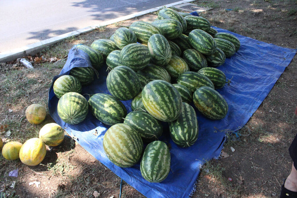 Ivanka Babić, Baka Ivanka, Lubenice