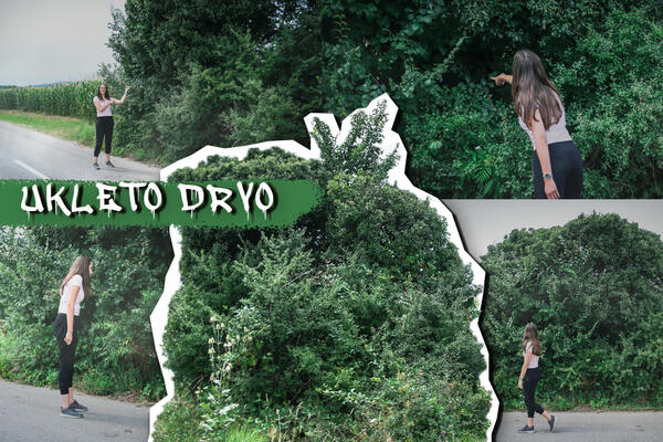 DODIRNULA SAM UKLETO DRVO KOD REKOVCA! Nećete verovati šta se dogodilo nakon toga, NE POKUŠAVAJTE! (FOTO)