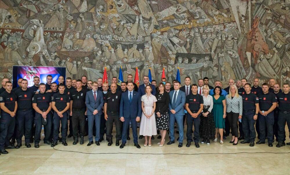 Aleksandar Vulin, Vatrogasci