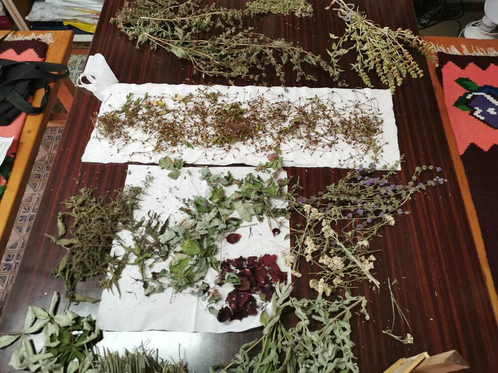 Mira Milovanović, Gavez