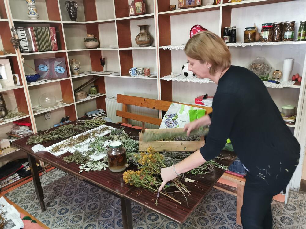 Mira Milovanović, Gavez