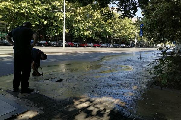 KEN, DONJI VEŠ, VEŠTAČKI ZUBI I ŠTA SVE NE: Top 10 neobičnih predmeta pronađenih u kanalizaciji
