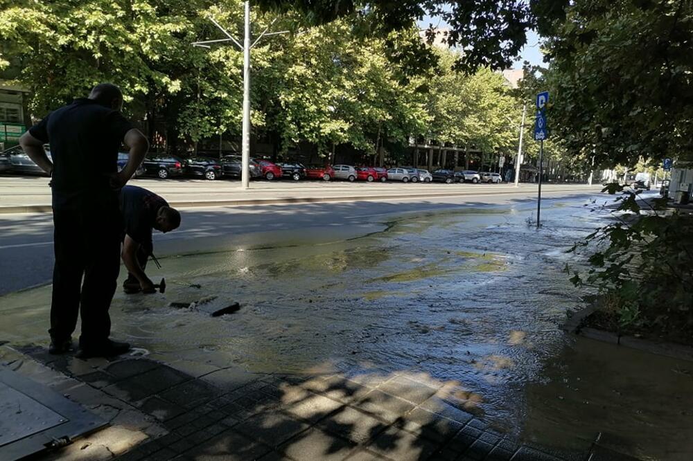 KEN, DONJI VEŠ, VEŠTAČKI ZUBI I ŠTA SVE NE: Top 10 neobičnih predmeta pronađenih u kanalizaciji