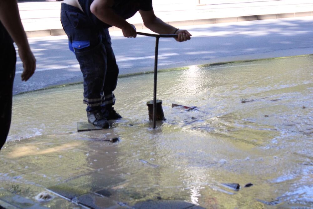 Poplava, Gejzir, Lion