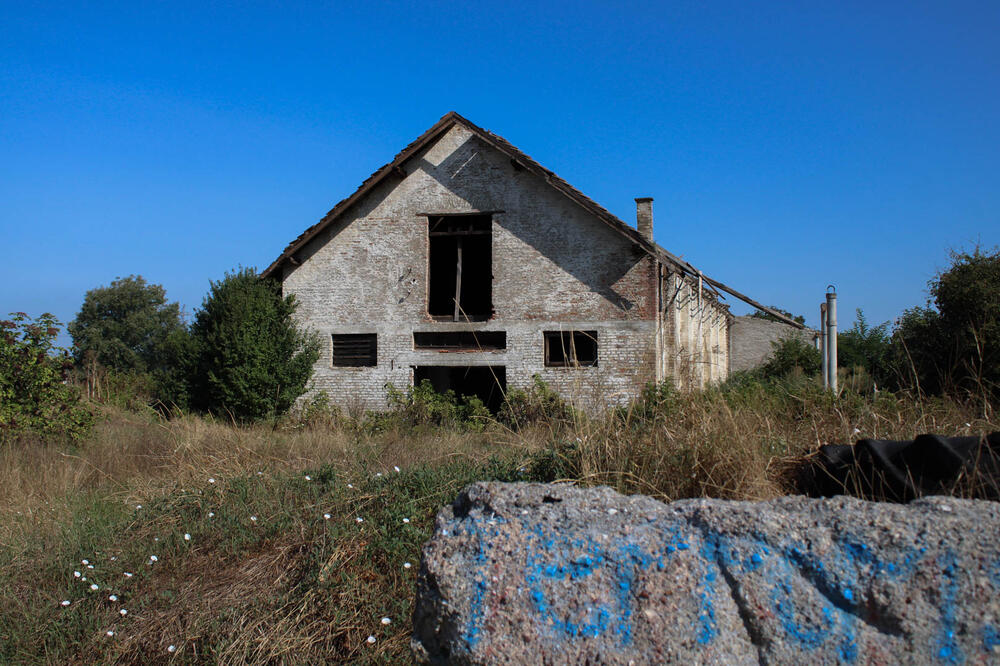 POKAZAO MU ŽBUNJE I REKAO DA TAMO IMA TELA KOJA SU VEĆ POJELI CRVI: Prve reči dede dečaka zlostavljanog u Obrenovcu