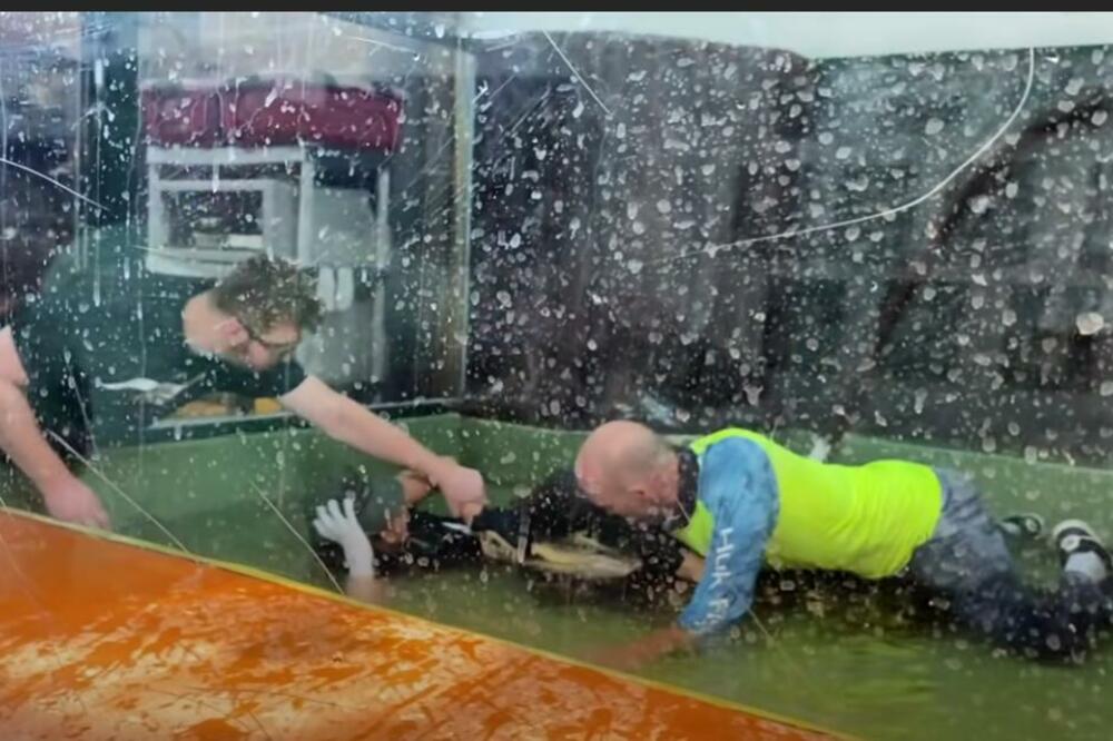 ROĐENDAN IZ HORORA! Aligator ščepao ženu za ruku, a onda je usledilo PREŽIVLJAVANJE! (VIDEO)