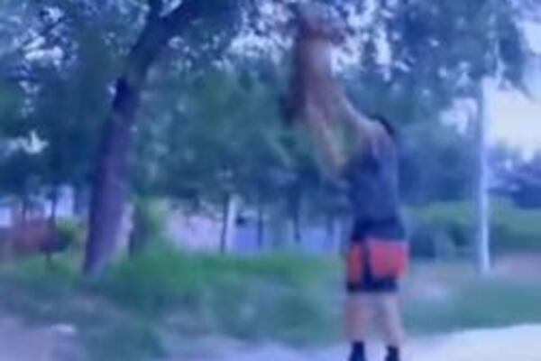 DAJTE MU OLIMPIJSKO ZLATO: Izveo gotovo nemoguću stvar, a nije ČOVEK, NEVEROVATNO! (VIDEO)