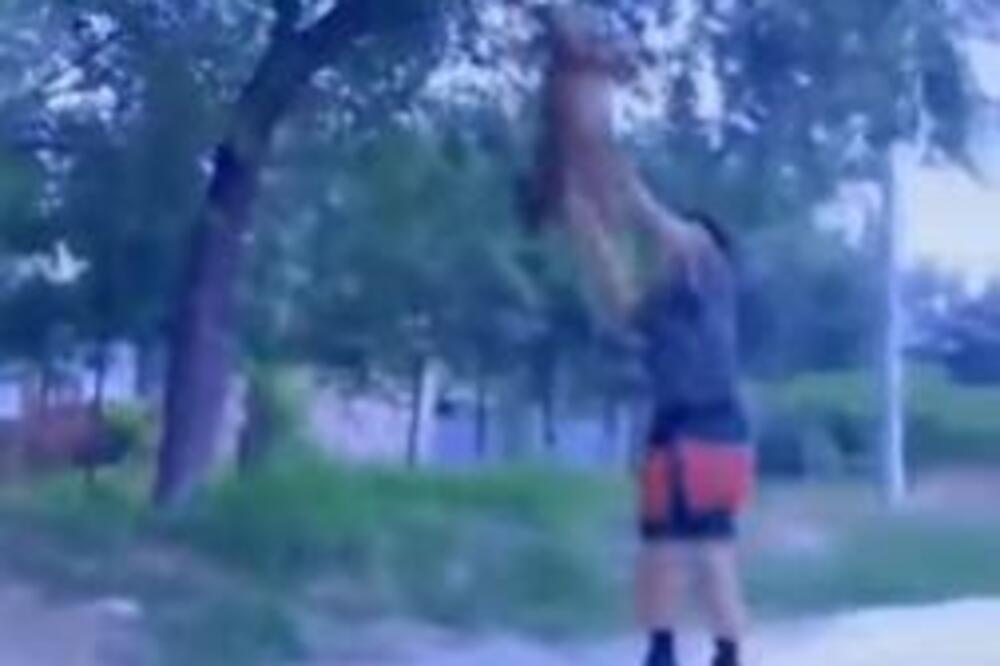 DAJTE MU OLIMPIJSKO ZLATO: Izveo gotovo nemoguću stvar, a nije ČOVEK, NEVEROVATNO! (VIDEO)