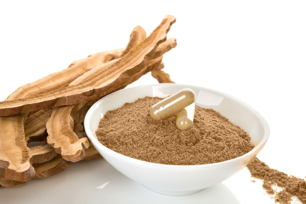 PRIRODNI IMUNOMODULATOR SA ANTIKARCINOGENIM DELOVANJEM: Ova gljiva je tonik za zdravlje, vitalnost i dugovečnost!