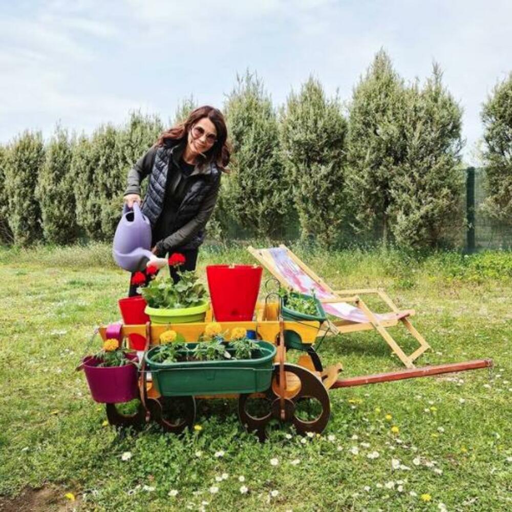 Jelena Bačić Alimpić