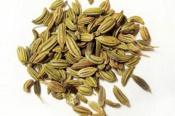 RAZBACALA JE SUVE LISTOVE PO SVIM ĆOŠKOVIMA U KUĆI: Efekat koji je dobila je GENIJALAN