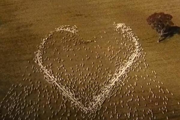 NA JEDINSTVEN NAČIN SE OPROSTIO OD VOLJENE OSOBE: Njegov potez vas neće ostaviti RAVNODUŠNIM! (VIDEO)