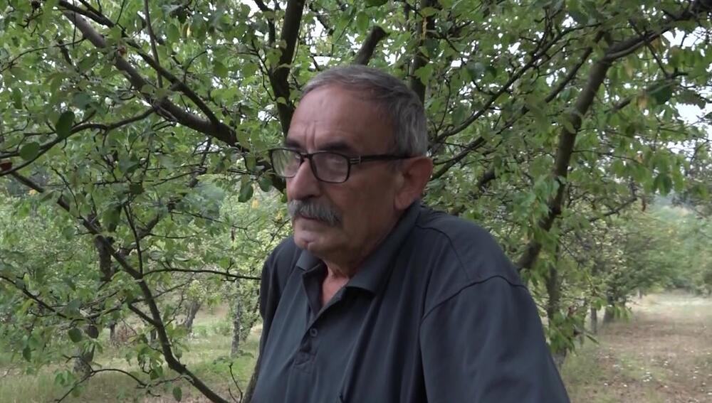 Šljive, Miomir, Mašina