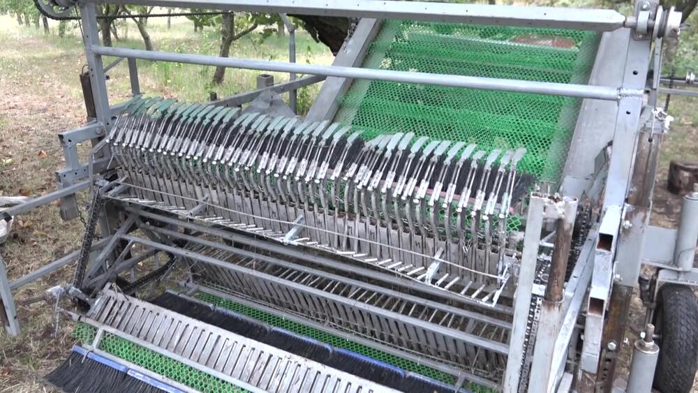 Šljive, Miomir, Mašina