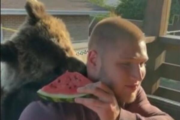 OVAJ MEDVED ŽIVI KAO CAR: Upoznajte nežnog džina Manju