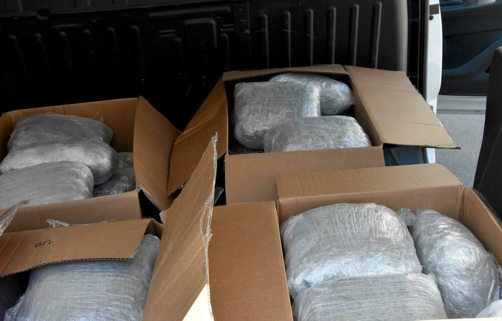 Zaplenjena marihuana