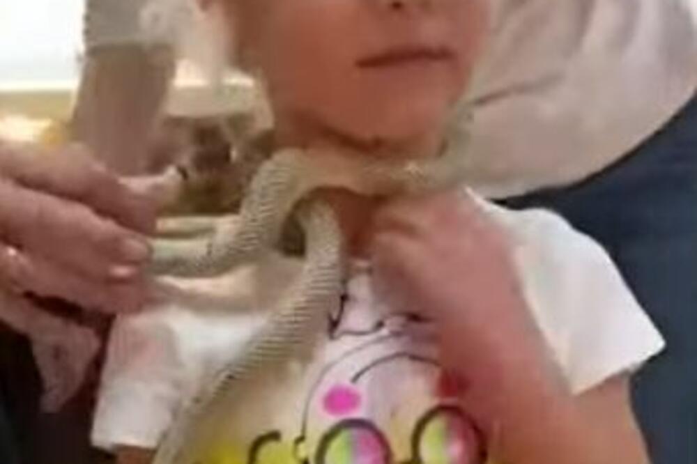 JEZIV SNIMAK: Devojčici (11) otrovnica omotana oko vrata, usledio PRIZOR koji ledi krv u žilama (VIDEO)