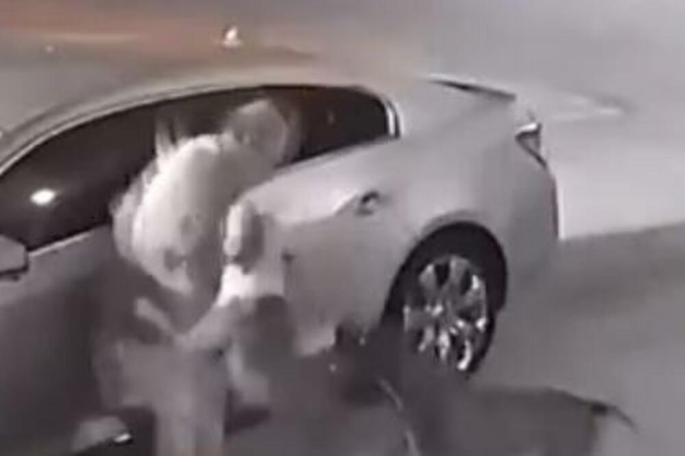 UZNEMIRUJUĆE! Pitbulovi rastrgli čoveka, krv na sve strane, kamere snimile STRAHOVIT prizor (VIDEO)