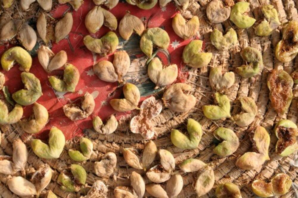 OVAKO SU NAŠE BAKE SUŠILE SMOKVE: Moderne DOMAĆICE za ovu caku NE ZNAJU