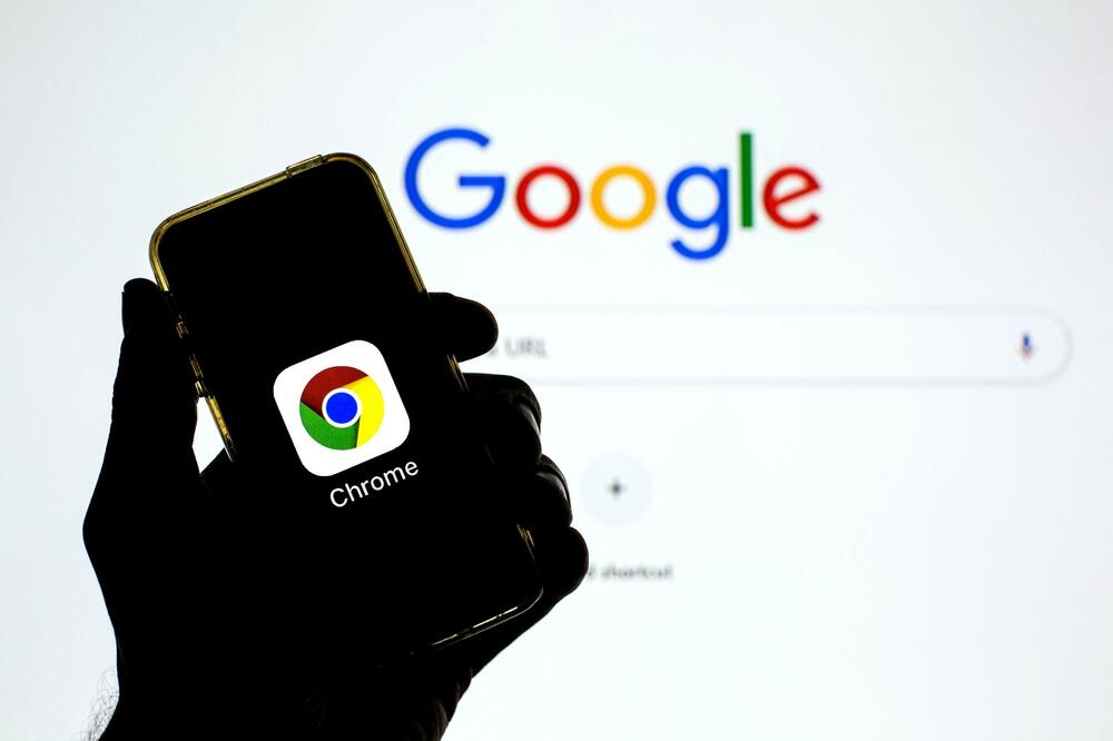 "POPCAT, CRNA SVADBA, NOLE"! Google objavio - OVO SU SRBI NAJČEŠĆE PRETRAŽIVALI U 2021. GODINI