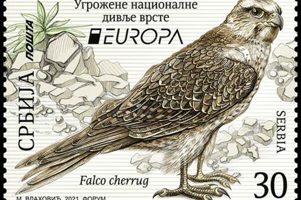 Pošta Srbije i Prirodnjački muzej promovisali poštanske marke sa zaštićenim vrstama ptica