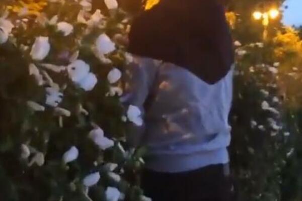 "TE NIJE SRAMOTA?" Dečko iz Niša uhvaćen u neprimerenom ponašanju! Kamera usnimila njegovu reakciju (VIDEO)