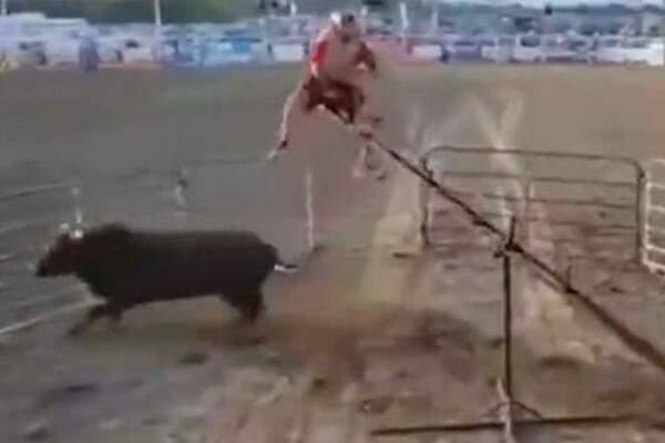 JOJ KAD IH DOHVATI! Ova dvojica se igraju IGRE ŽIVACA SA BIKOM, pitanje dana kad će da PLATE! (VIDEO)