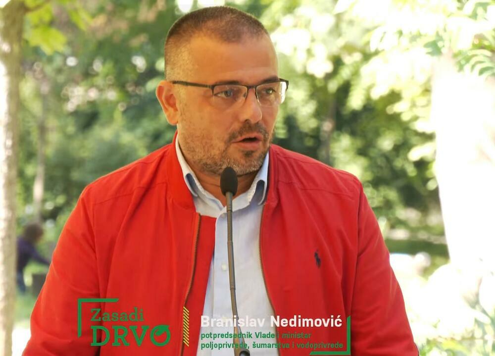 Branislav Nedimović