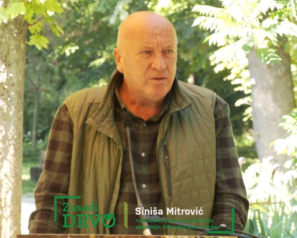 Siniša Mitrović