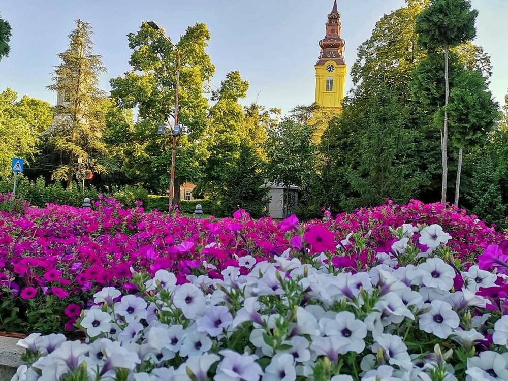 Evangelistička crkva