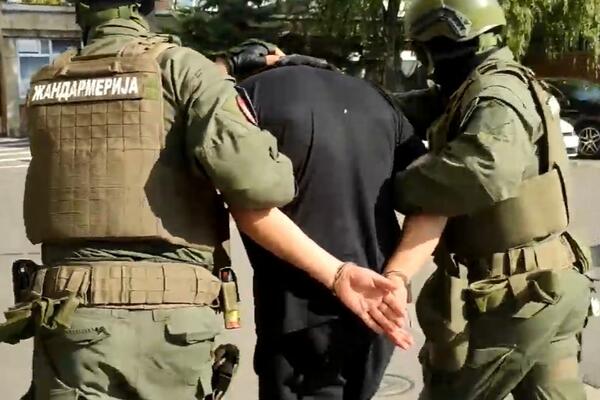 UHAPŠENO 13 LJUDI ZBOG UBISTVA MMA BORCA I RANJAVANJA GORANCA: Pogledajte akciju policije u Novom Sadu (VIDEO)