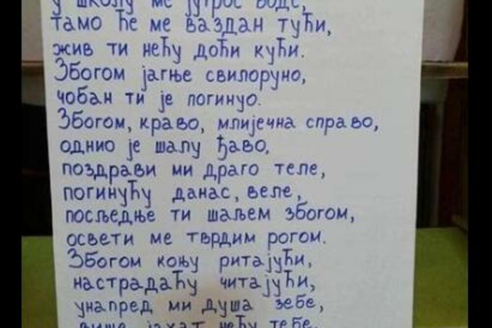 U ŠKOLU ME VODE, TAMO ĆE ME TUĆI! Roditelji ZGROŽENI čitaju pesmu, NIKO nije primetio jedan detalj na slici! (FOTO)
