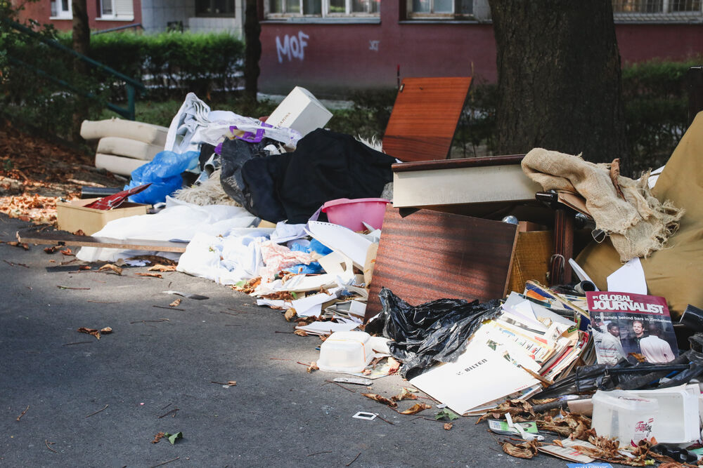 Zore Ilić Obradović, Dr Zore ilić Obradović, Smeće, Smeće kraj puta