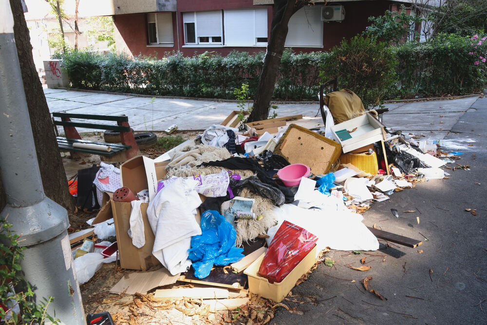 Zore Ilić Obradović, Dr Zore ilić Obradović, Smeće, Smeće kraj puta